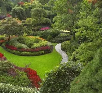 diseño de jardines y podas de árboles