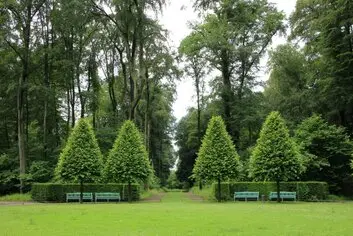 Empresa de arboricultura Barcelona Desbroces y podas de árboles en barcelona