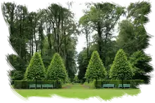 Desbroces y limpieza terrenos DFesbroces y desmalezado fincas