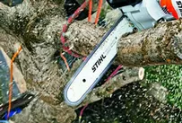 Podas en altura Girona Podas y tala en altura Girona