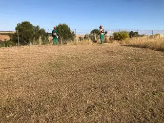 DESBROCES DE FINCAS Y PARCELAS Barcelona Barcelona, desbroces y limpieza de terrenos