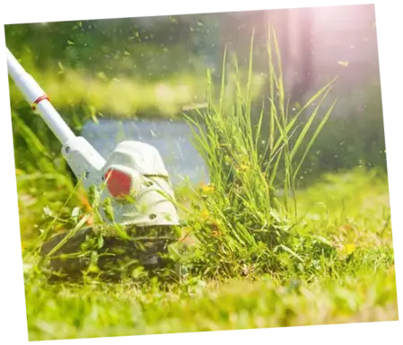 Desbroces y eliminacion malas hierbas