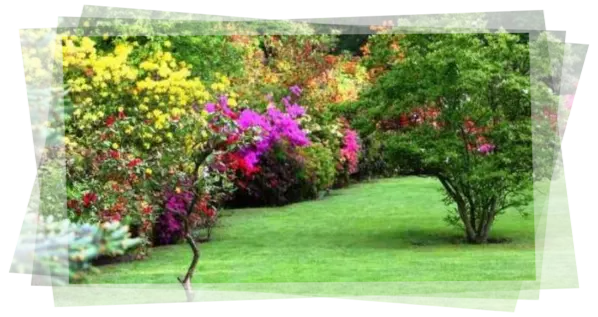 Servicio de jardinería Barcelona 