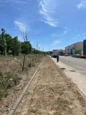 Tala y podas en altura Barcelona y provincia