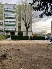 Tala y podas en altura Barcelona y provincia