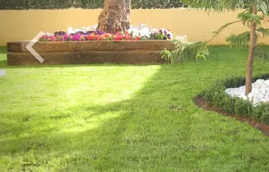 Podas y talas de árboles en Barcelona